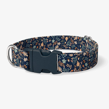 image of front of collar. image of front of collar.